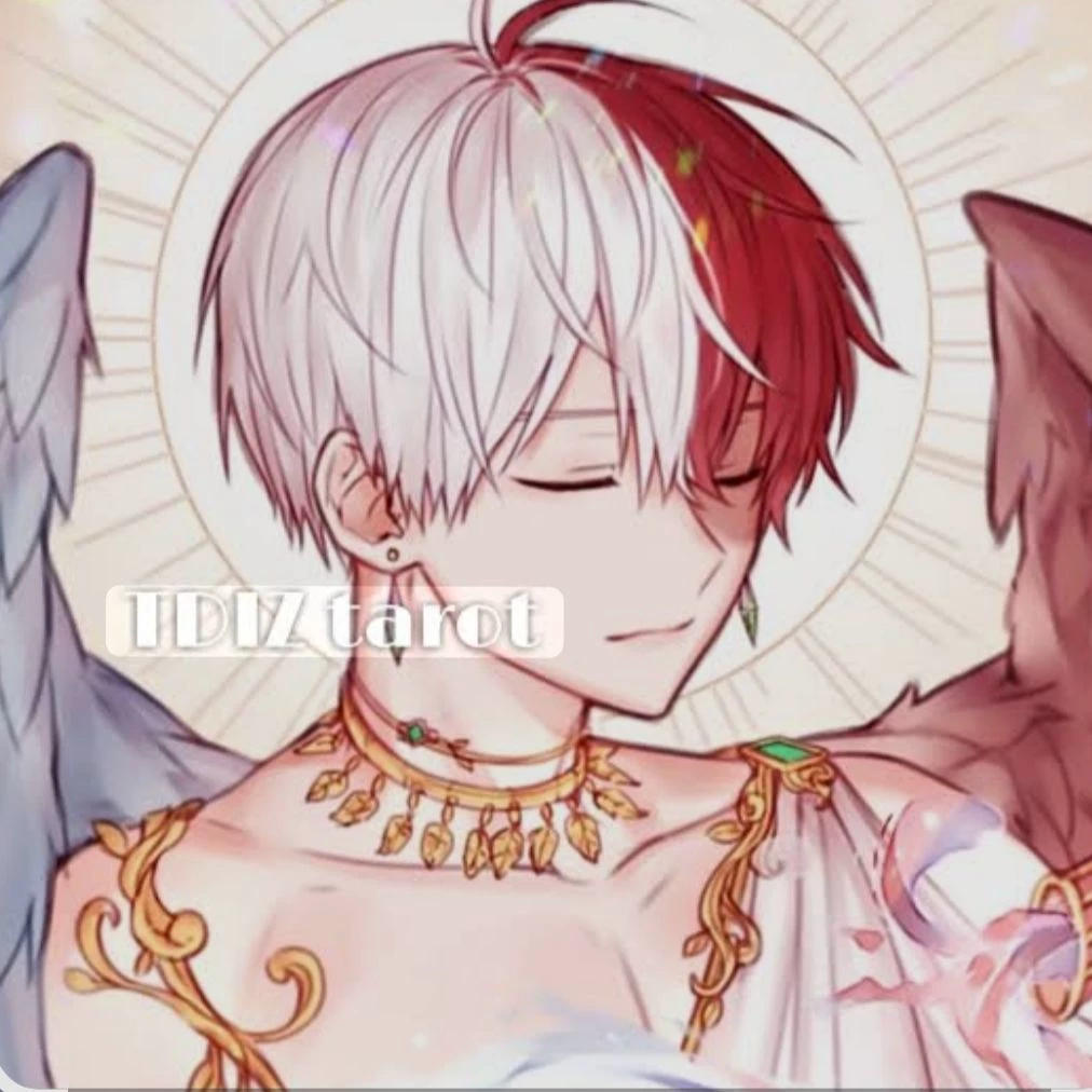 Shoto Todoroki thumbnail