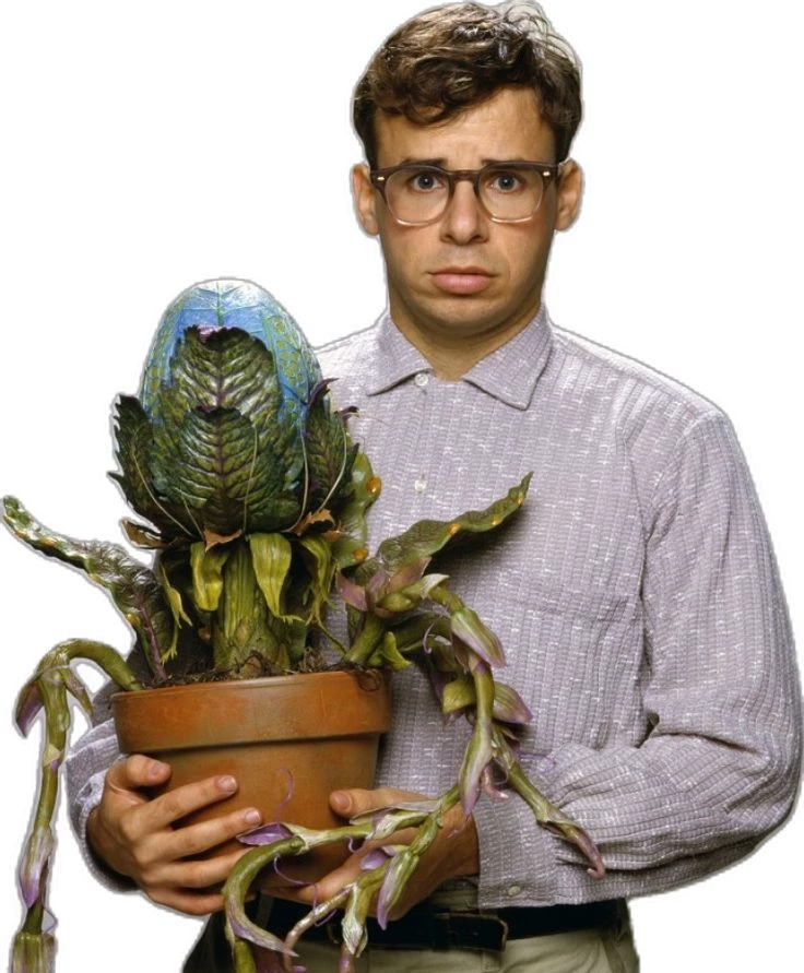 Seymour Krellborn thumbnail