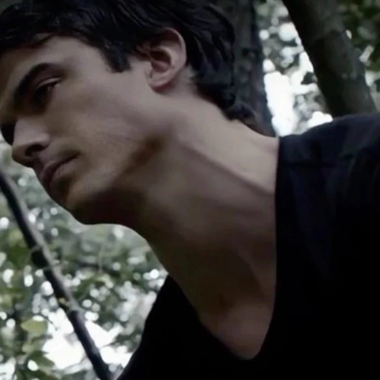 The vampire diaries thumbnail
