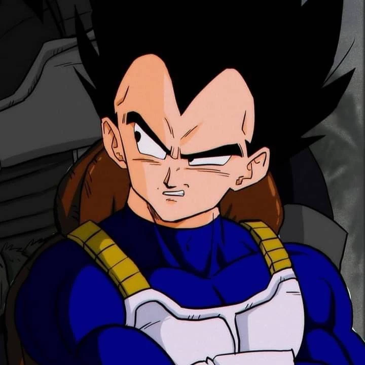 Vegeta (husband)🩷💙 thumbnail