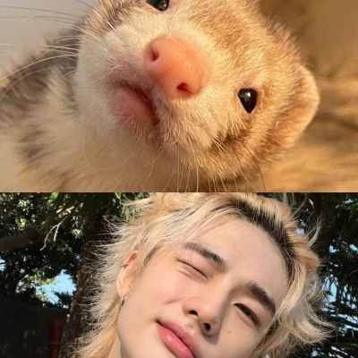 hyunjin thumbnail