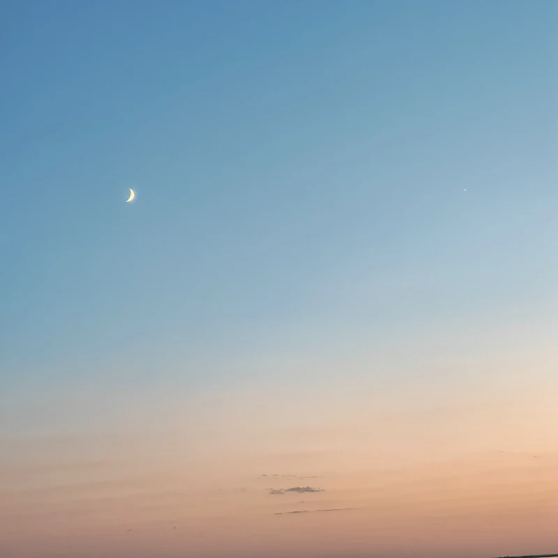 Y/N