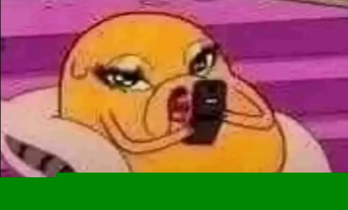 Ashiky/ Mascotas conejo★ thumbnail