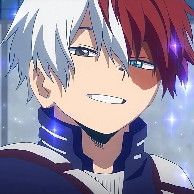 Shoto Todoroki thumbnail