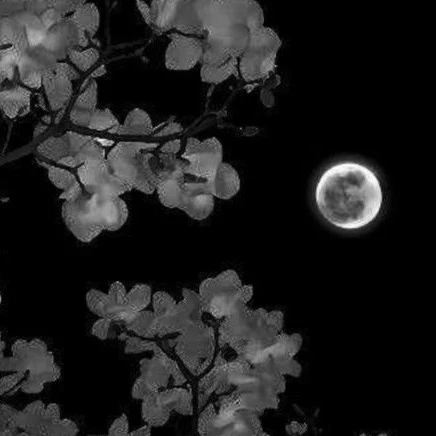 Sleep 