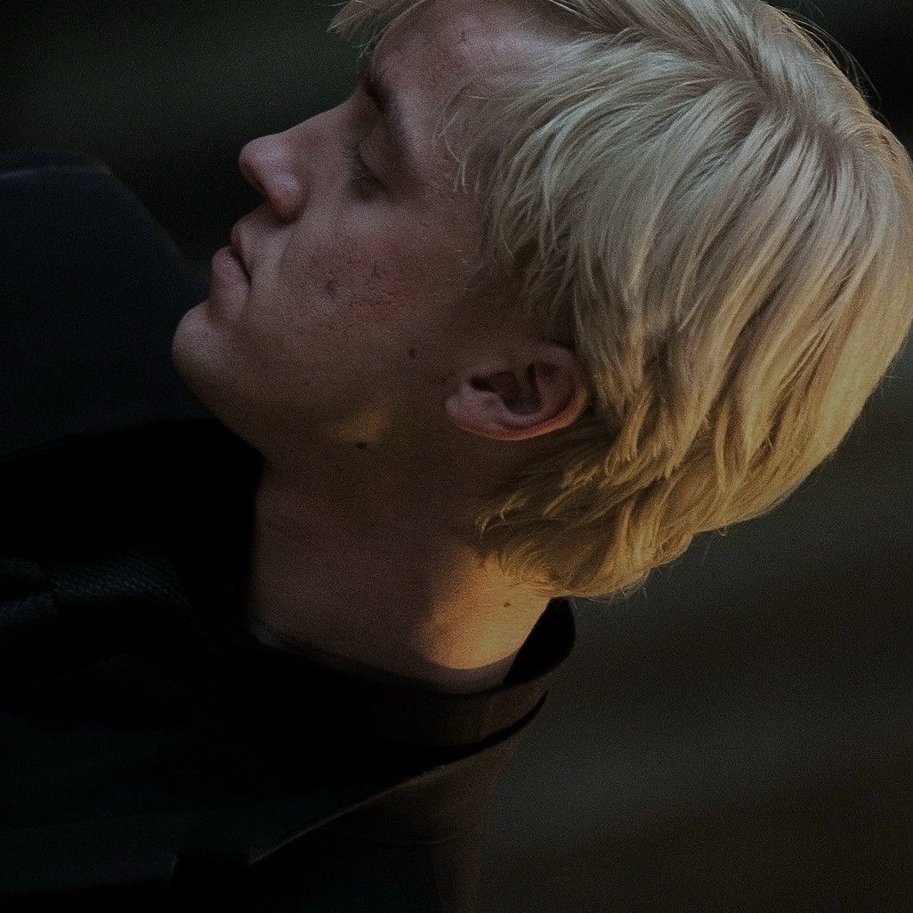 Draco your secret admirer thumbnail