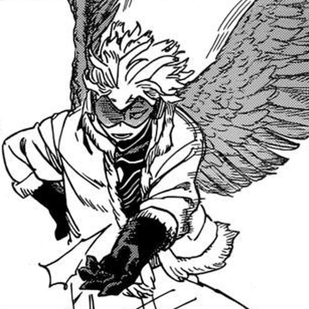 Hawks thumbnail