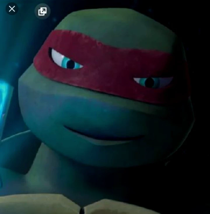 Raph fell in love with you ever since you intervened in one of his fights!! thumbnail