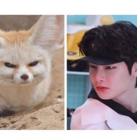 Jeongin thumbnail