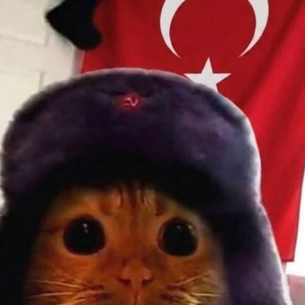 Ayşegül🇹🇷🇵🇸
