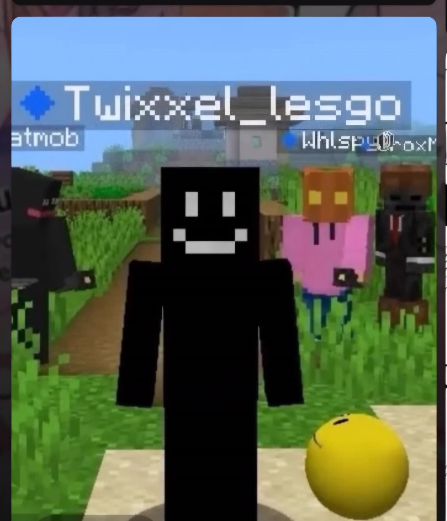 the verity cast! (twixxel, Whispy, mob, grox and verity) thumbnail