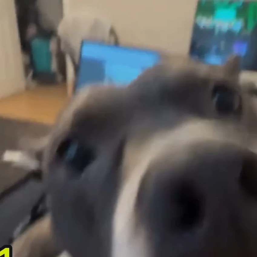 do anything you want thumbnail