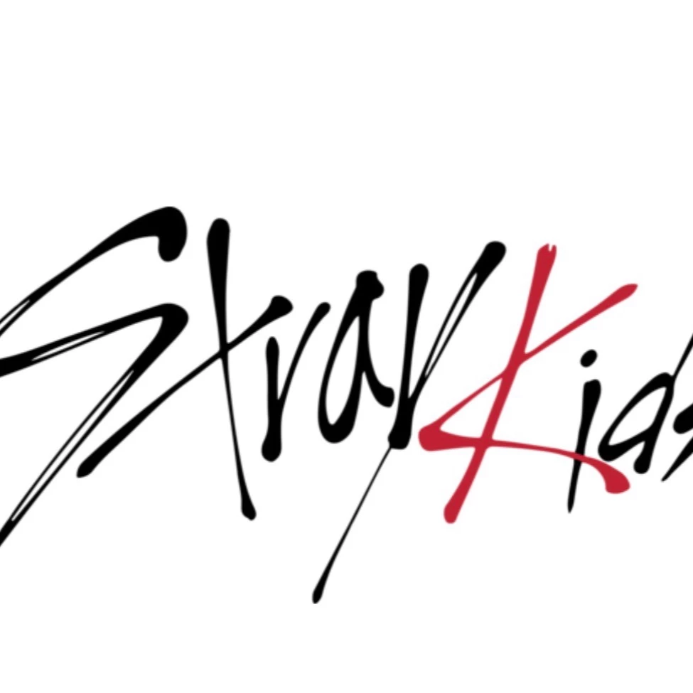 Stray-Kids x wonderfools thumbnail
