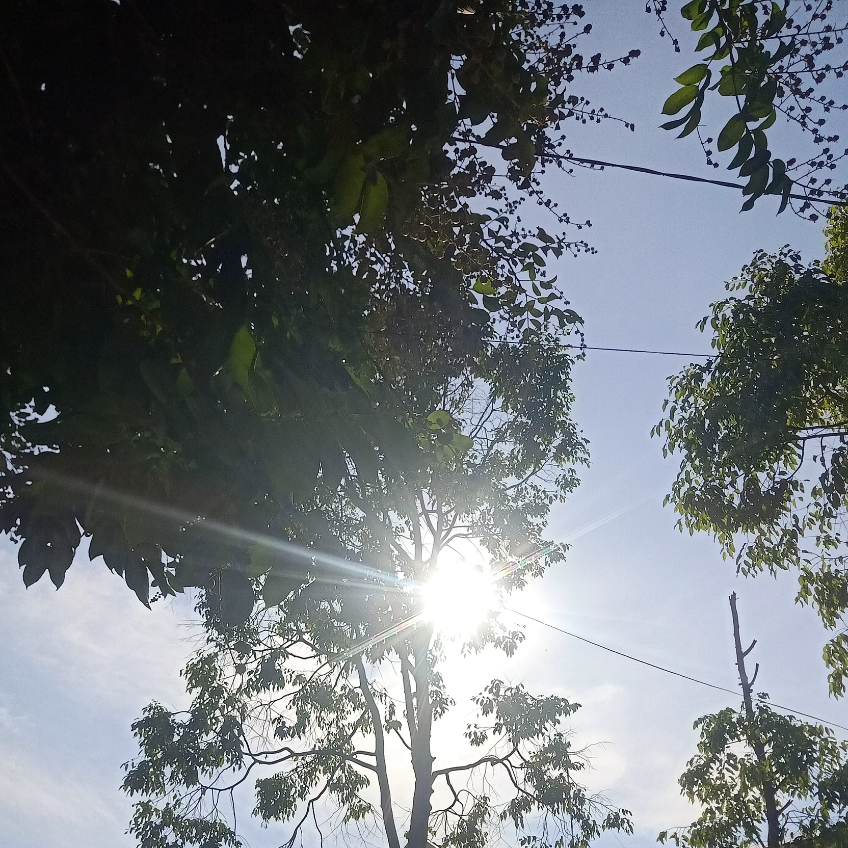 Đăng