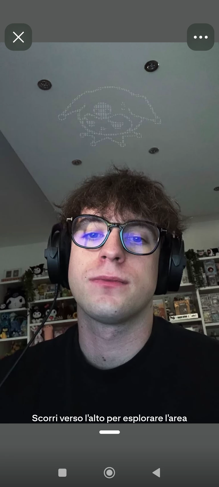Lollolacustre  thumbnail