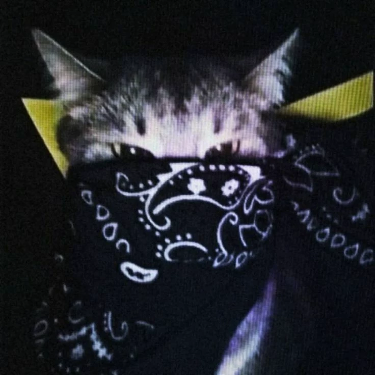 RATATATAAAA