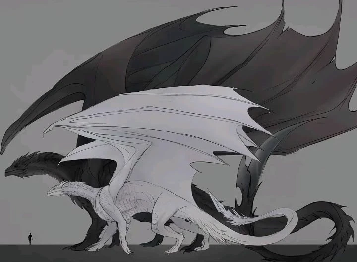 Nith Black Dragon thumbnail
