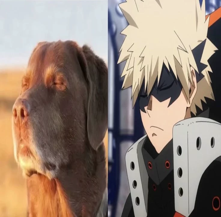 Katsuki Bakugo (omega ver🤤) thumbnail