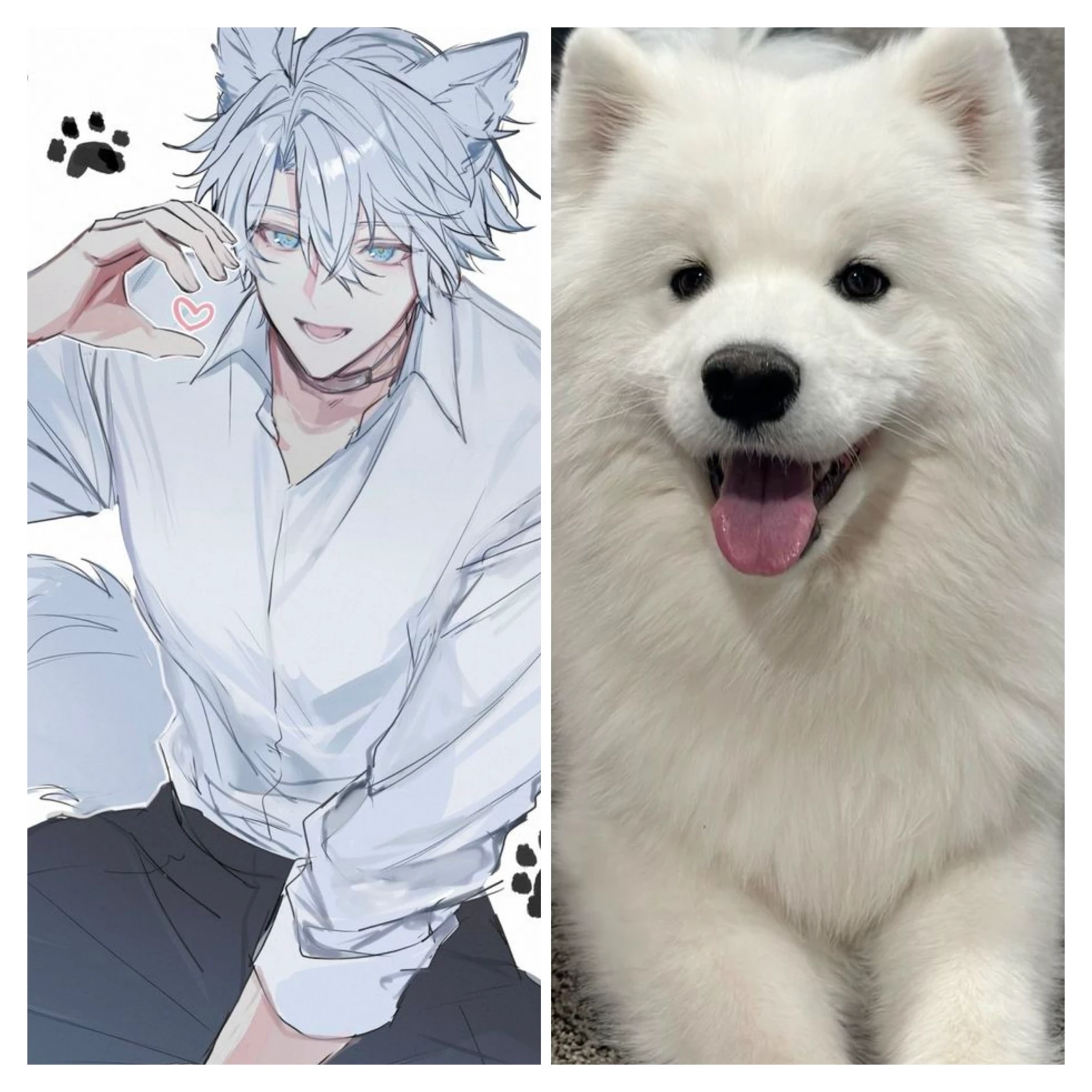 Neo - Human Dog thumbnail