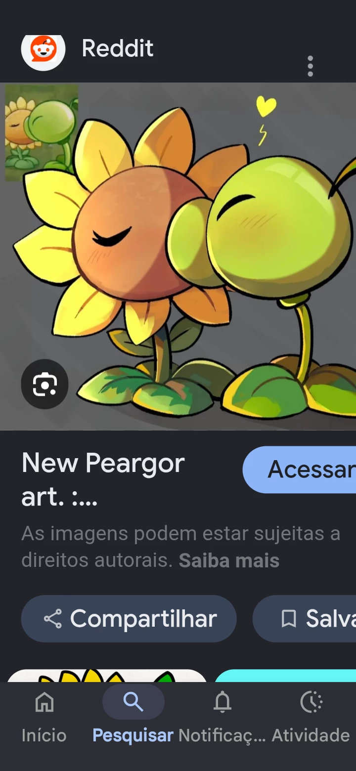 sunflower thumbnail