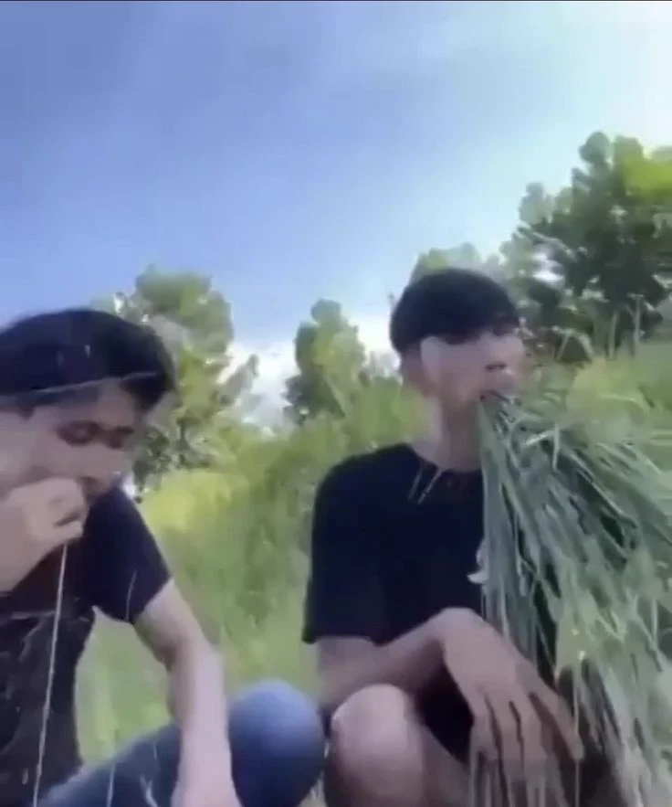 Two idiots thumbnail