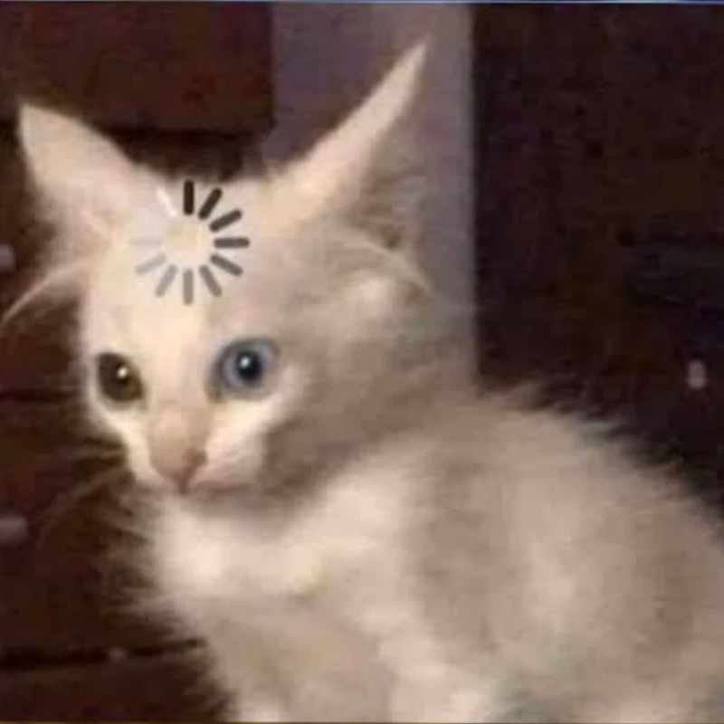 feli