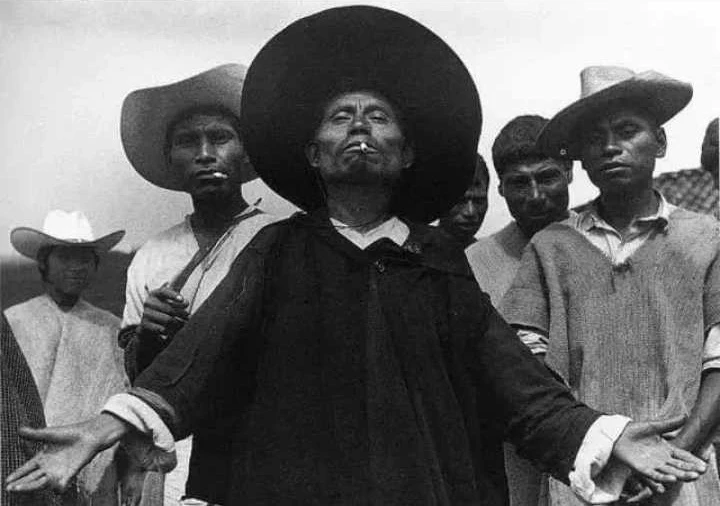 PIDE A BOT 🐱 thumbnail