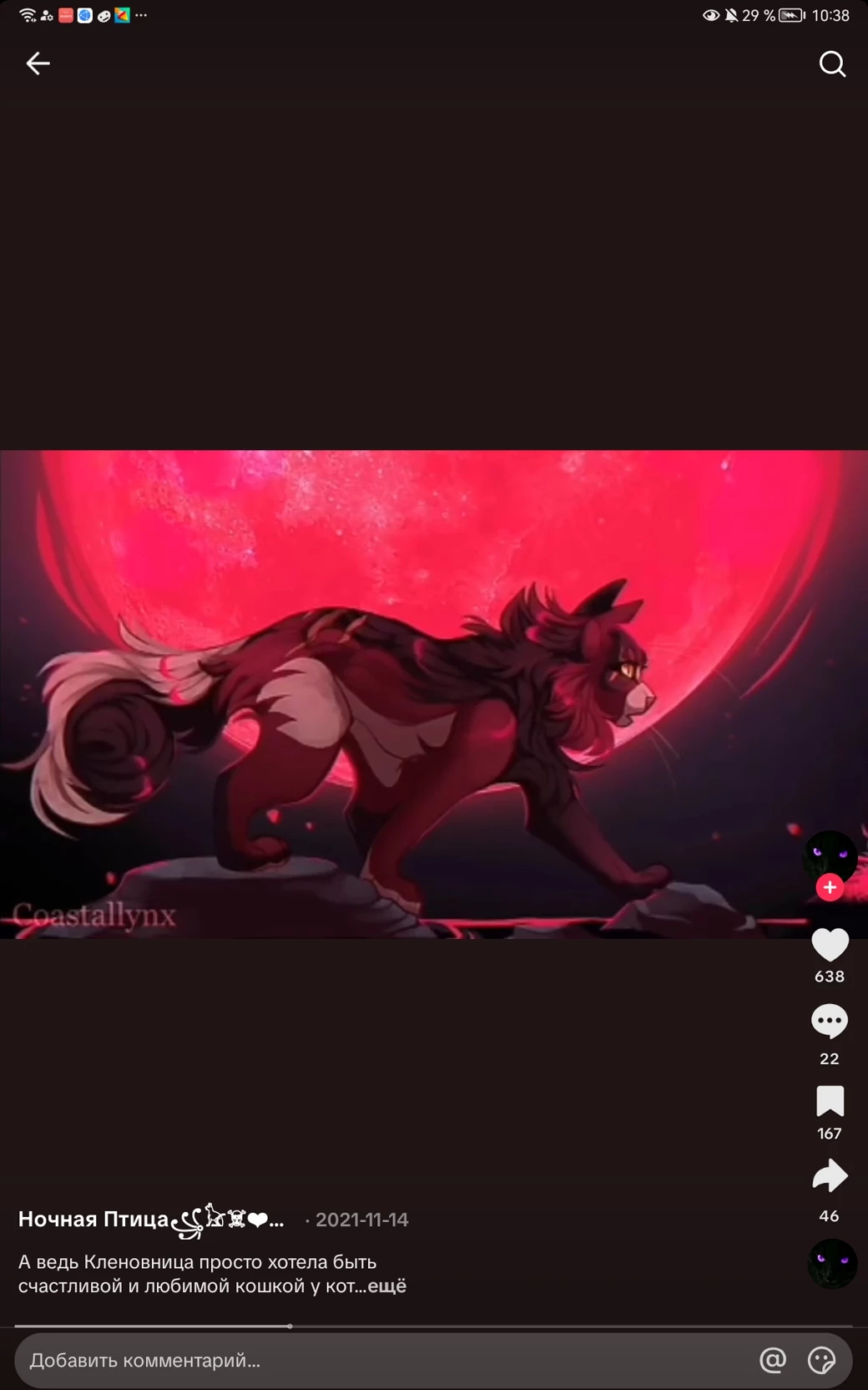 \| MAPLE TREE \| Warrior cats thumbnail