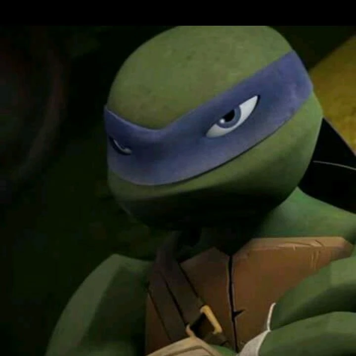 •\|Leonardo•\|TMT 2012\|• thumbnail
