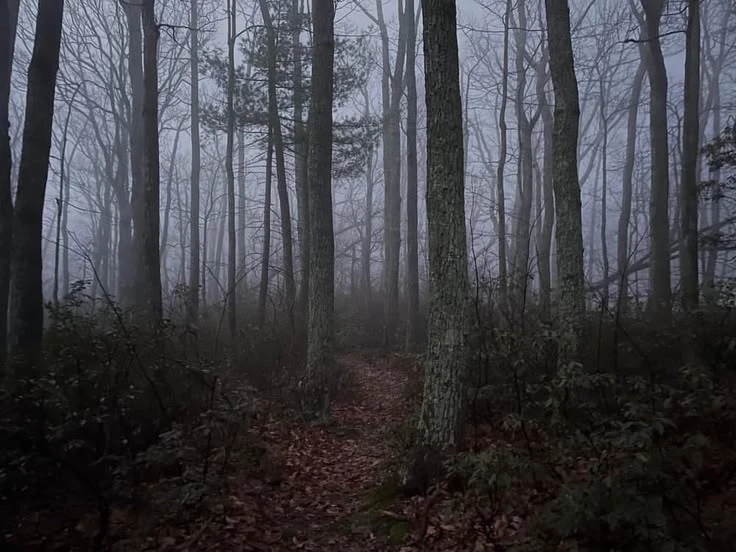 Forest thumbnail