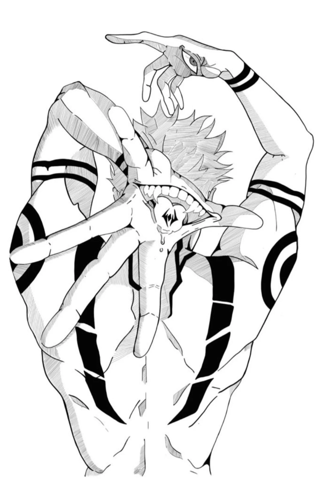 RYOMEN SUKUNA thumbnail
