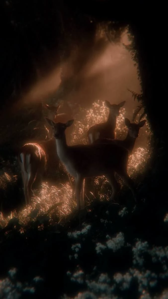 The King // King of the Deer thumbnail