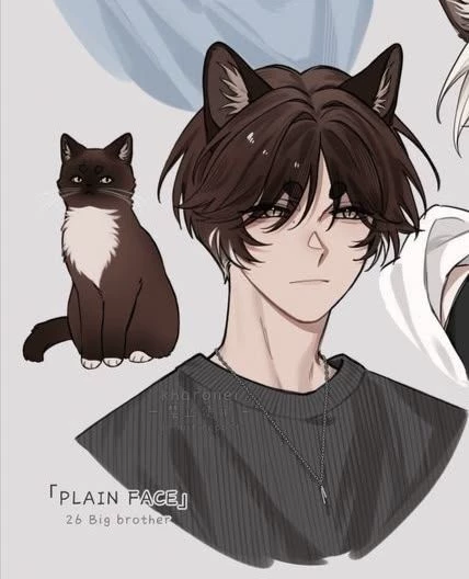 Kilian - hybrid kitten - (BL) thumbnail