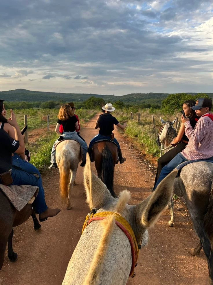 Familia de Rancho  thumbnail