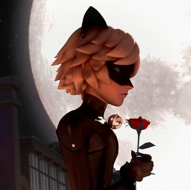 Chat Noir 🌹 thumbnail