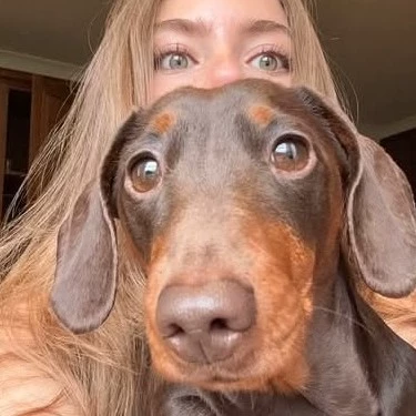 Stevlana