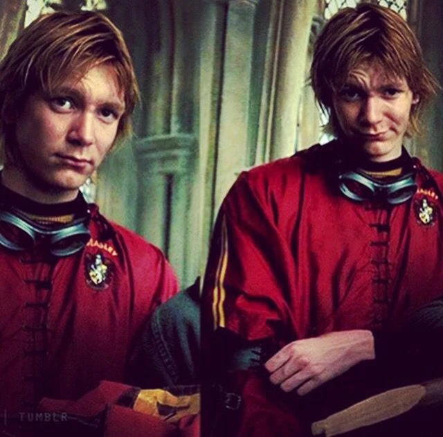 Weasley twins thumbnail
