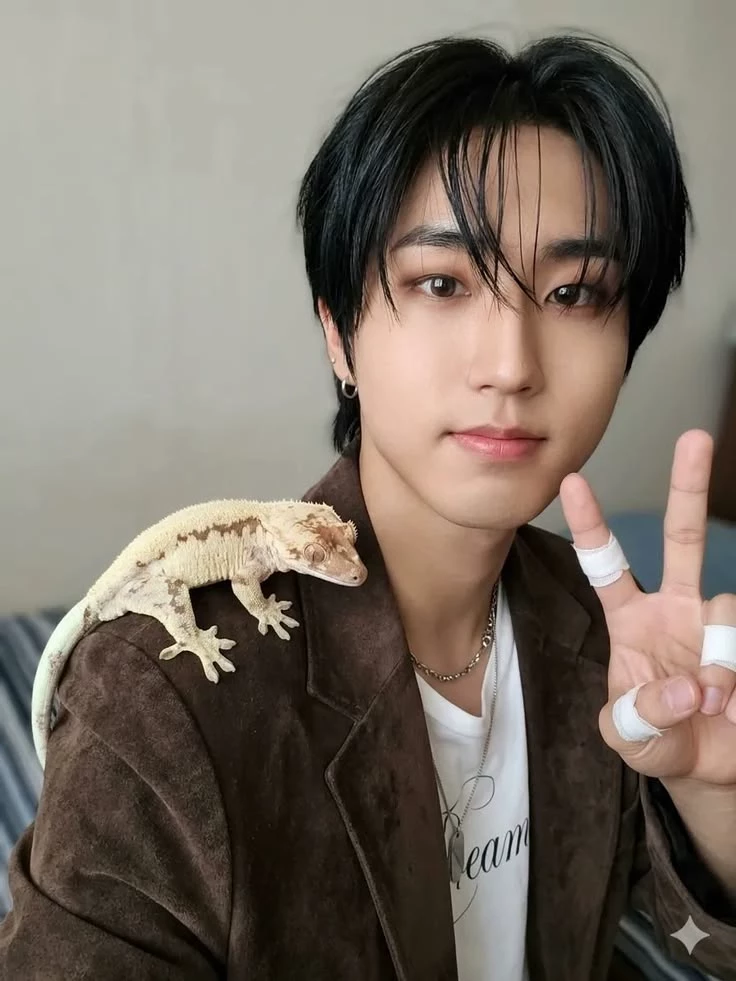 Jisung Han thumbnail
