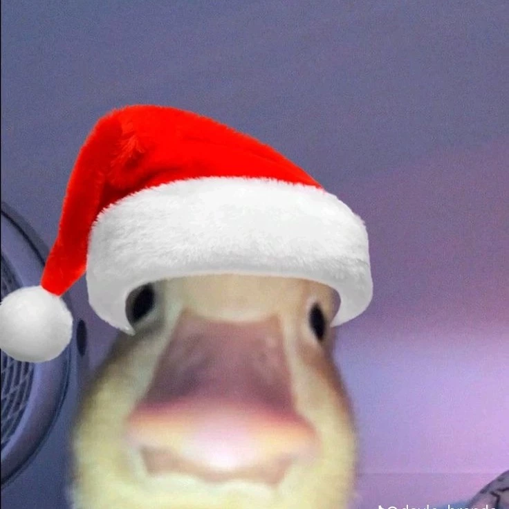 Reynaldo