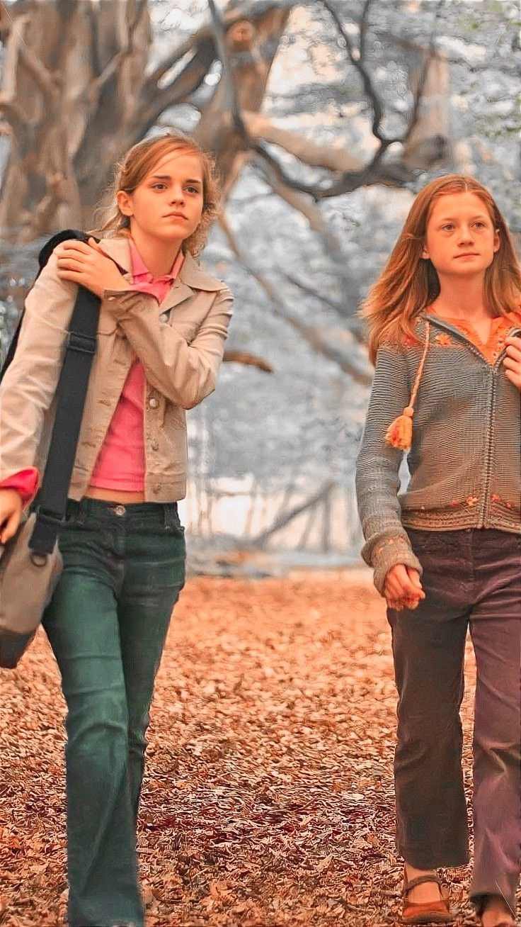 Hermione Granger & Ginny Weasley thumbnail