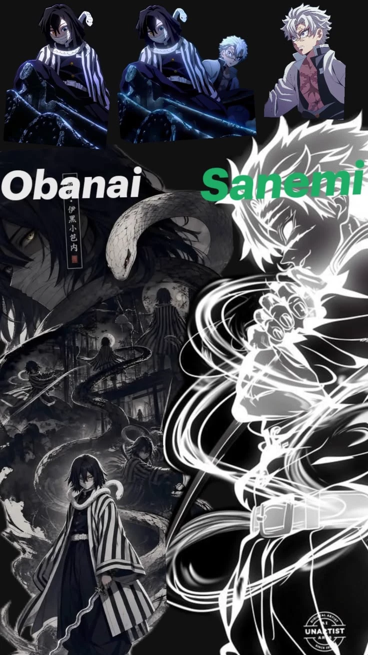Obanai and Sanemi mission thumbnail