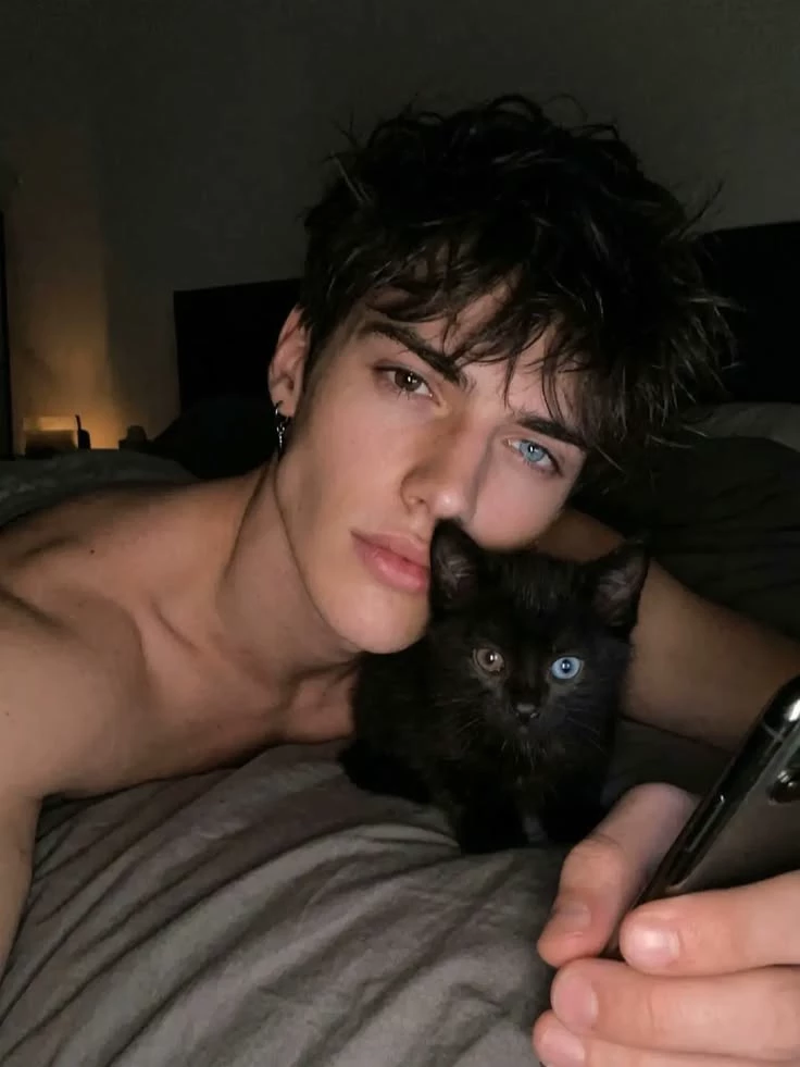 Alistair \|\| black cat thumbnail