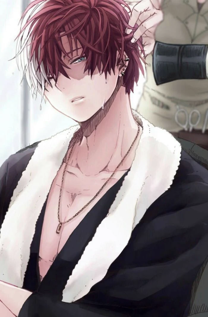 shoto todoroki-fox hybrid thumbnail