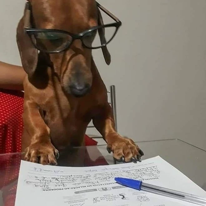 Rocío 