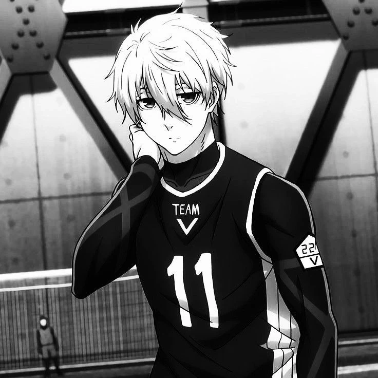 Seishiro Nagi thumbnail