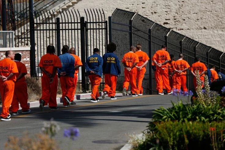 Prison full of aggresive pervert horny guys thumbnail