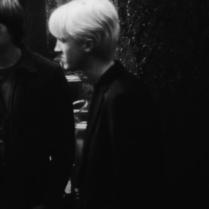 Draco Lucius Malfoy Black thumbnail