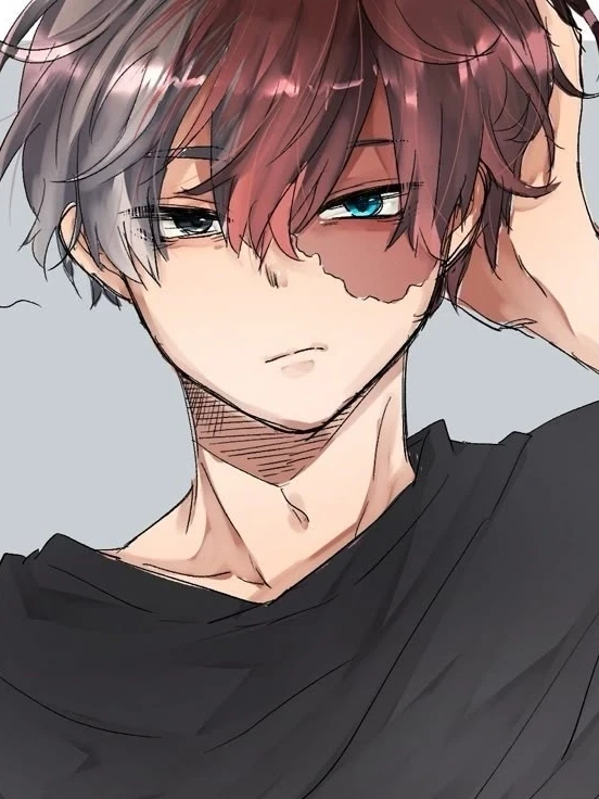 Shoto Todoroki thumbnail
