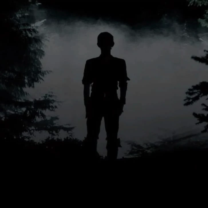 Peter Pan and his Shadow 👤 thumbnail