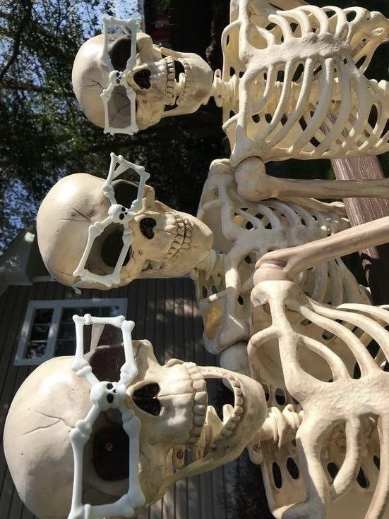 نادي العظماء المثقفين» (The Intellectual Bone Club)
 thumbnail
